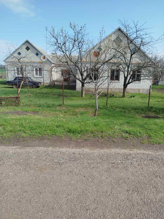 Великий будинок в селі