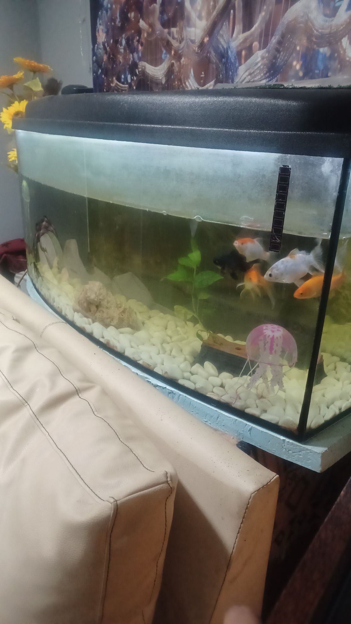 Vendo aquário 1.20 cm