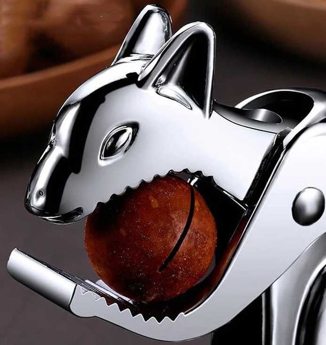 Dziadek do orzechów włoskich laskowych wiewiórka stalowy