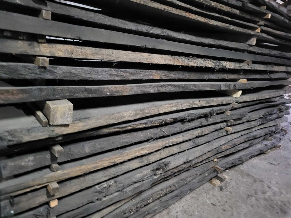 czarny dąb, brusy czarny dąb, dąb bagienny, black oak, dąb czarny