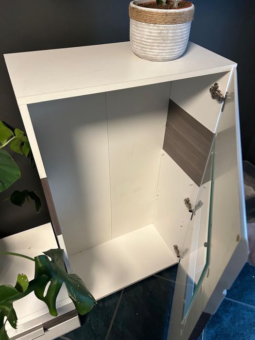 Mebloscianka biala w polysku