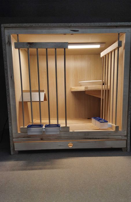 Cele lęgowe półki dla gołębi