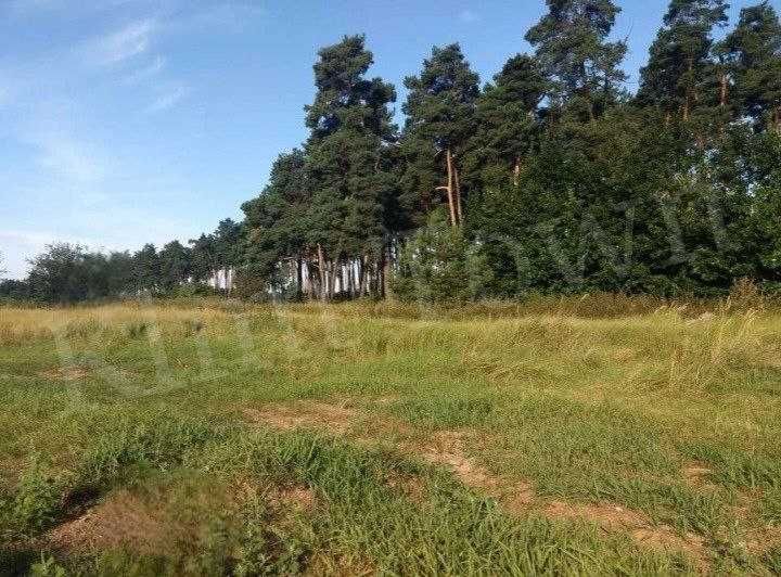 Продаються чотири земельні ділянки за 30 км від Баришівки