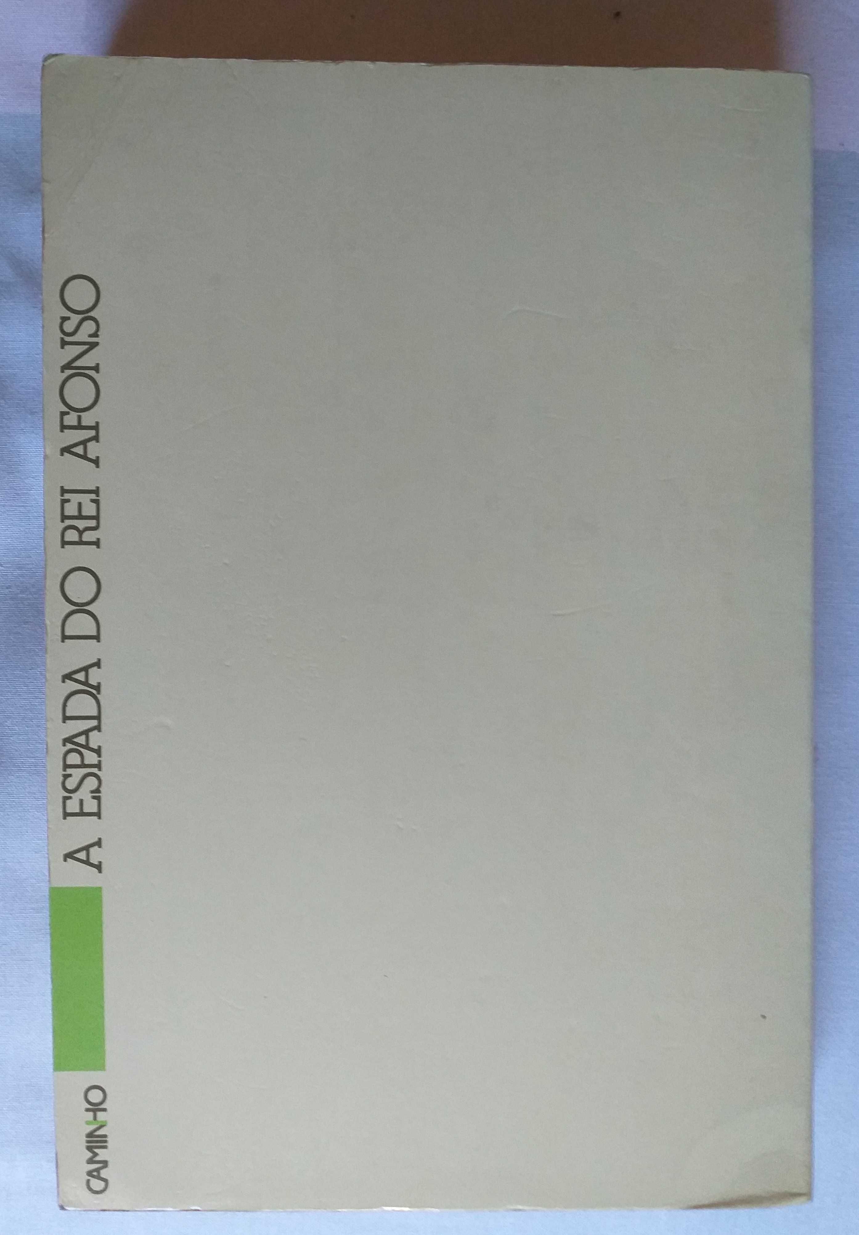 Livro "A Espada do Rei Afonso"