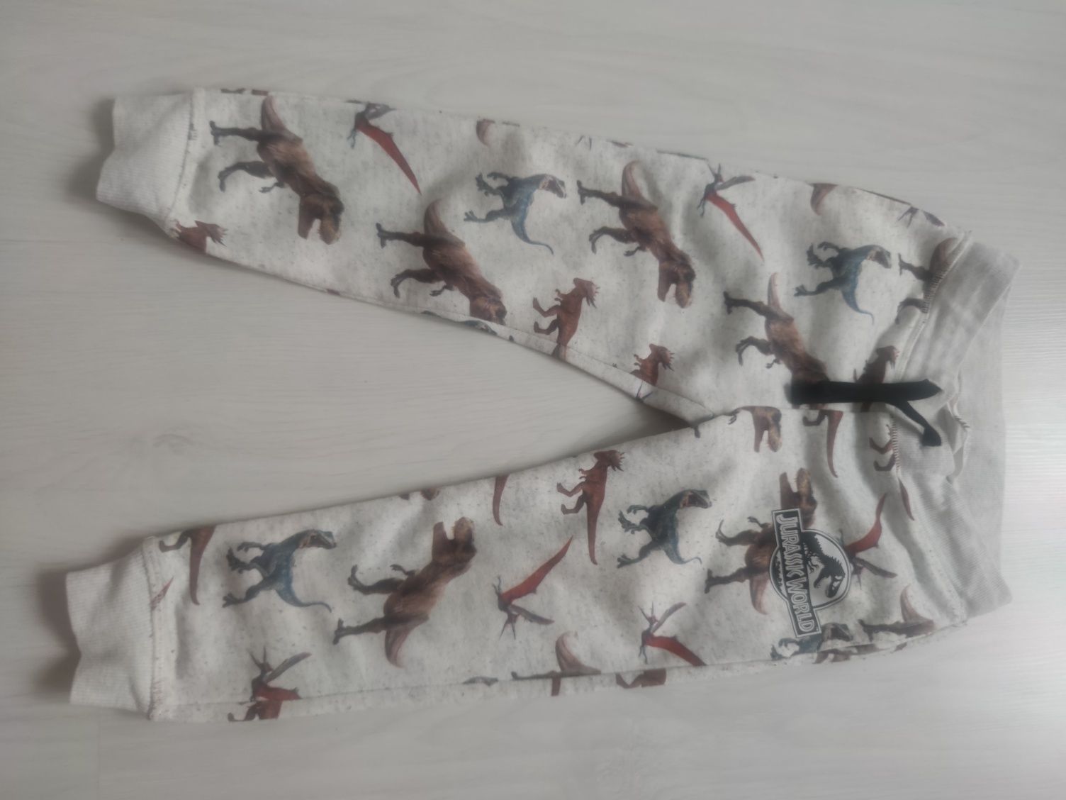 H&M Jurasic World spodnie dresowe w dinozaury 104