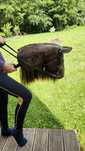 Hobby horse realistic
