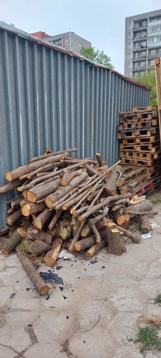 Drewno na opał Tuja palety.