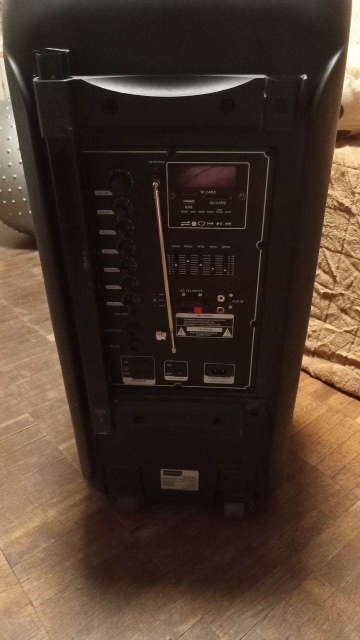 Колонка аккумуляторная Rainberg RB-1010B/ 2x10"/ 2x100W/ микрофон/ BT/