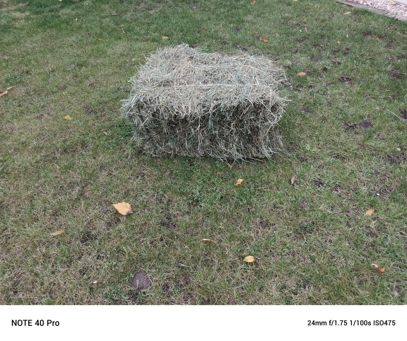 Siano , ładna zbita kostka