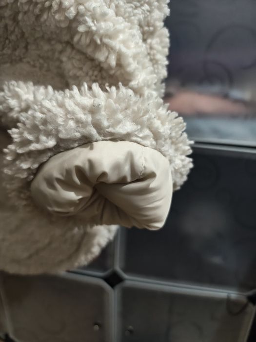 Жіночі куртки PRIMARK LIMITED осінь зима.