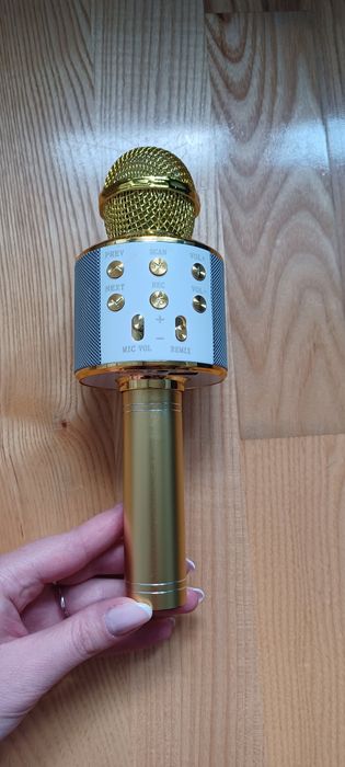Mikrofon głośnik złoty