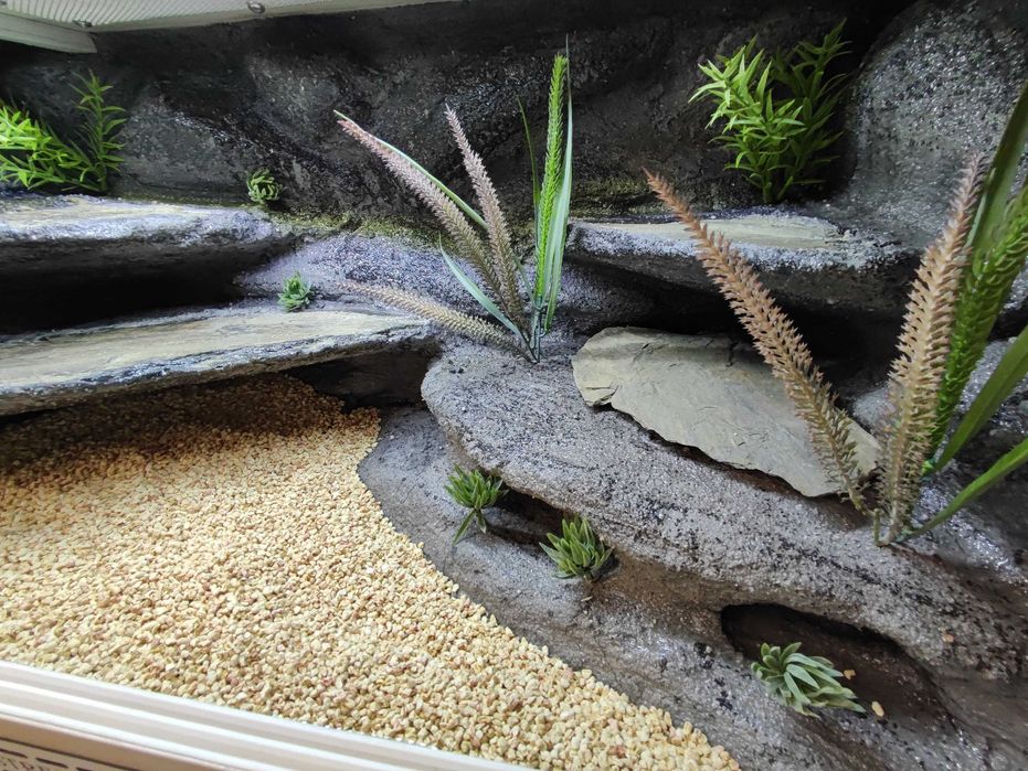 Terrarium pustynne nr755 80/40/40 dla gekona lamparciego DOSTĘPNE