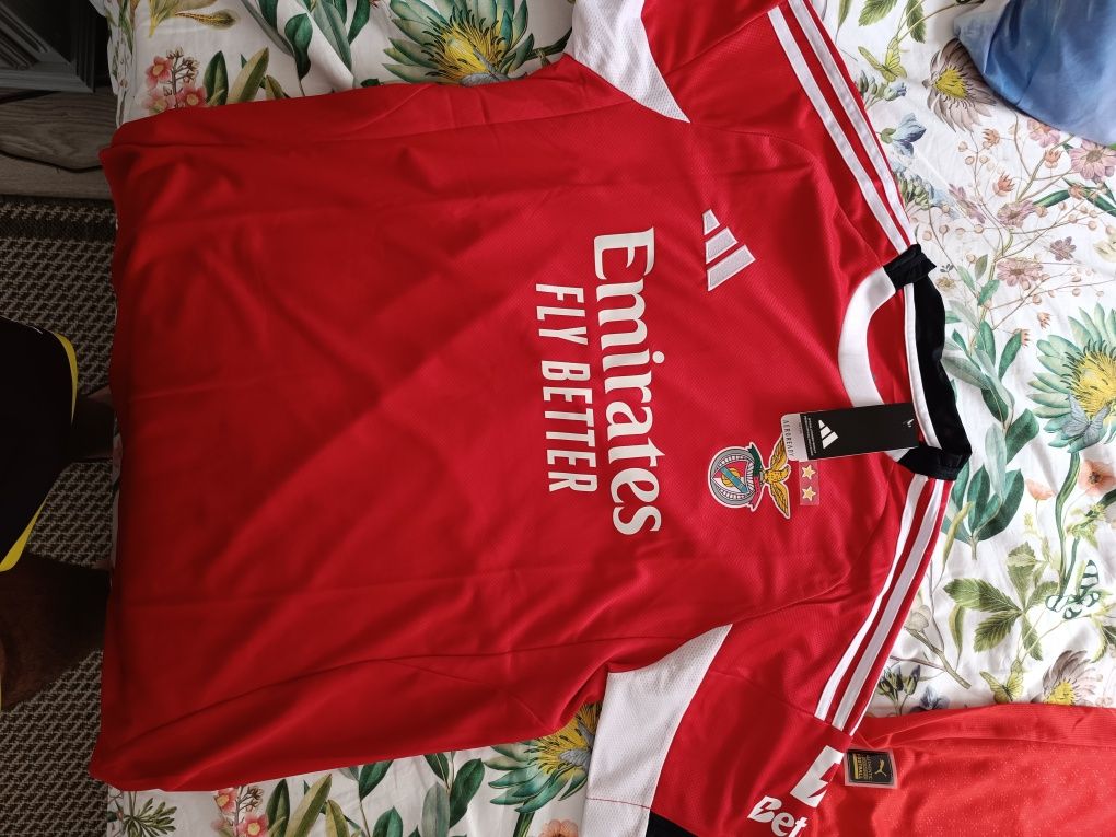 Benfica 2025/2026
