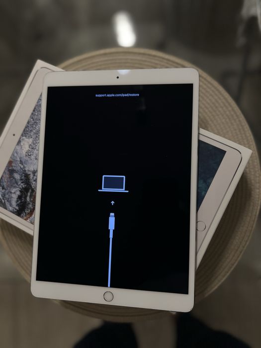 Ipad Pro 10.5 64 GB Cellular Wi-Fi Silver tablet ekran działa