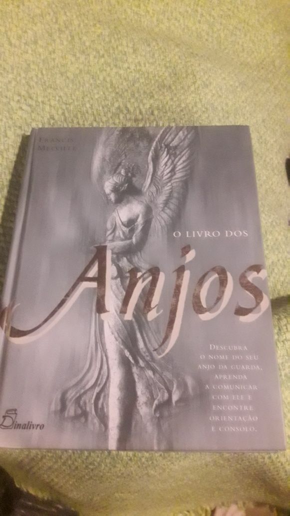 O Livro Dos Anjos