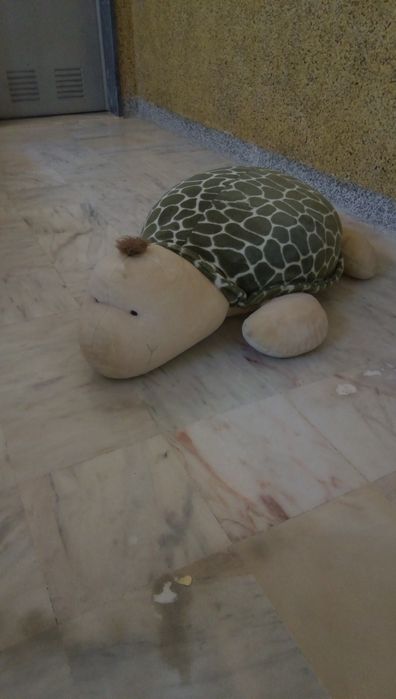 Peluche tartaruga