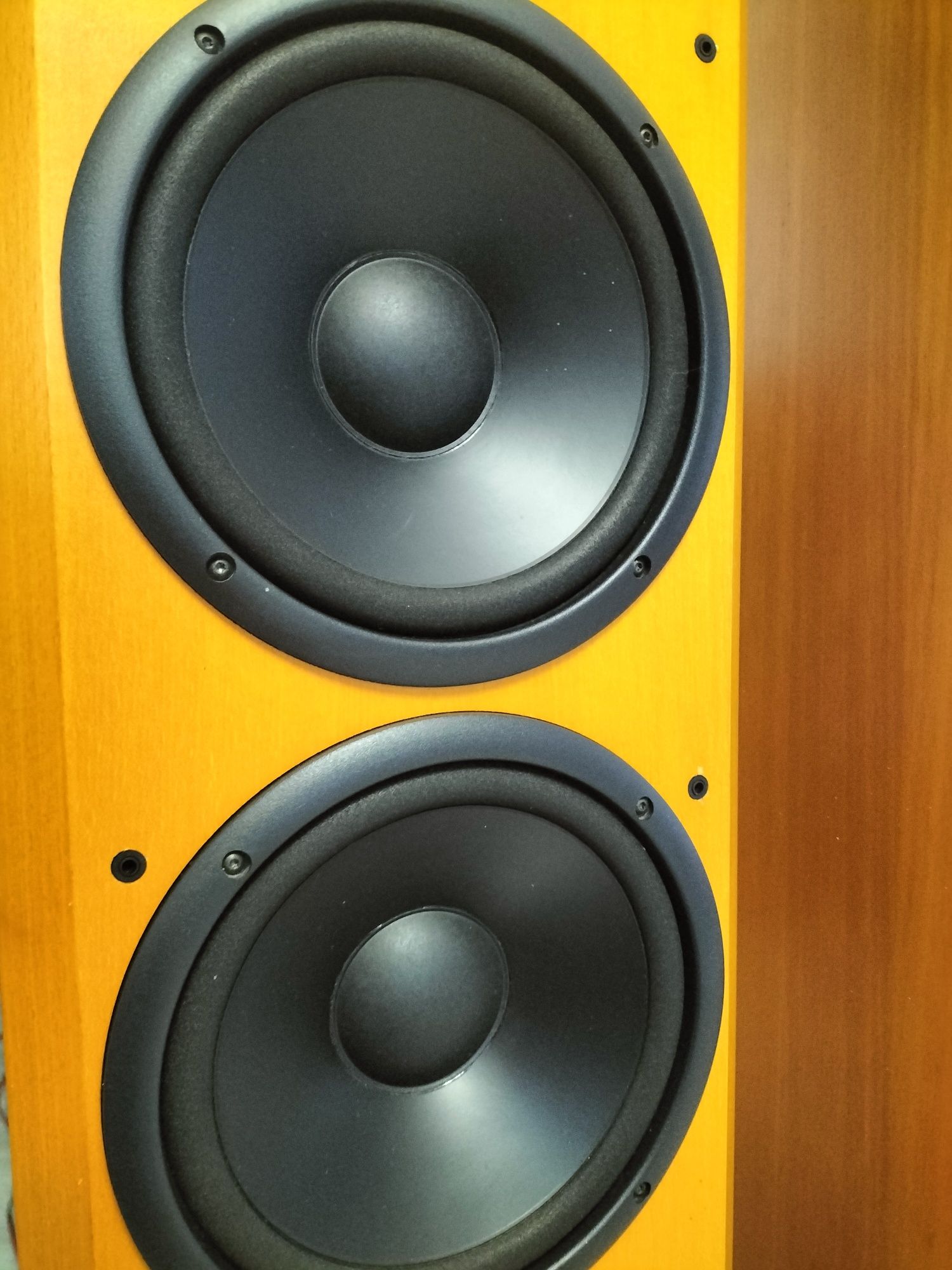 Kolumny T+A Pulsar TAE 1500E