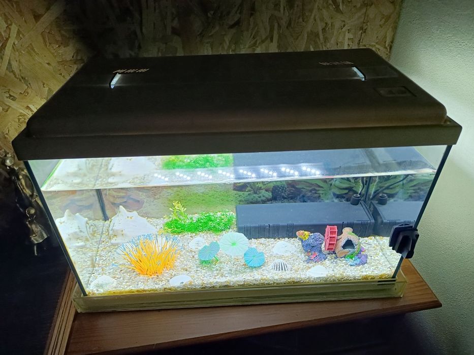 Aquário 50litros