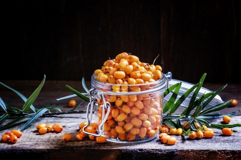 Обліпиха з власного саду