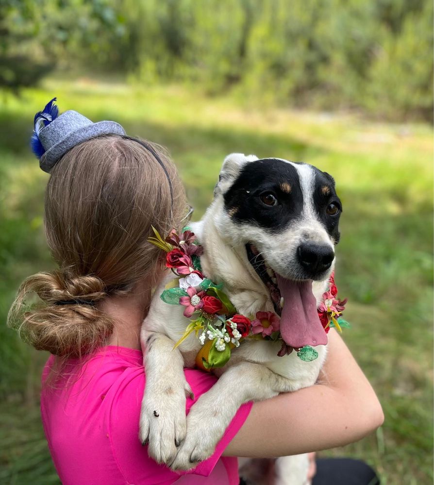 Piesek jak z bajki! Pongo. Adoptuj, daj dom