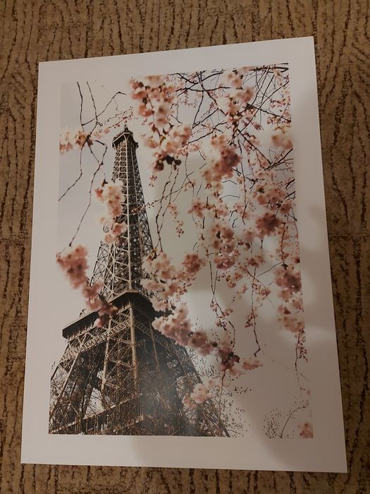 Plakat Paryż 50×70