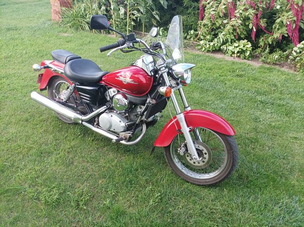 Honda Shadow VT 125 klasyk na kat B