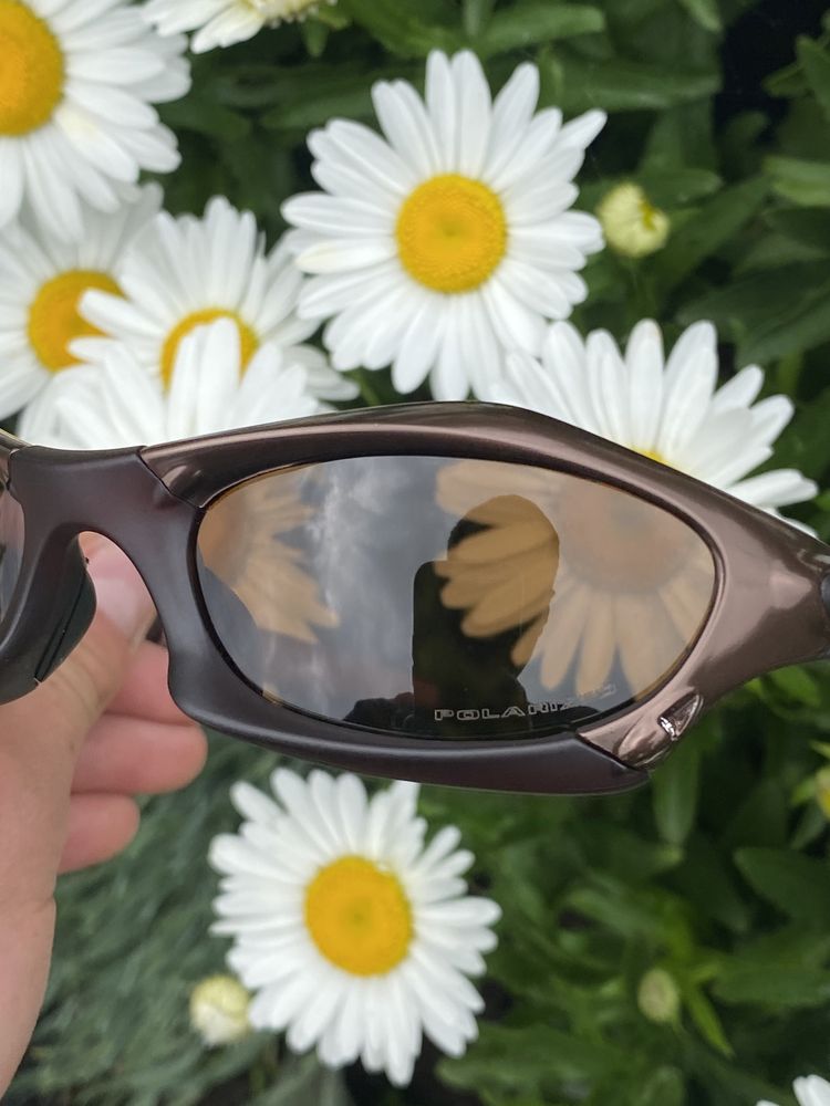 Очки Oakley Splice Brown