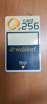 Waldorf Q, Q+ syntezator karta RAM Q256