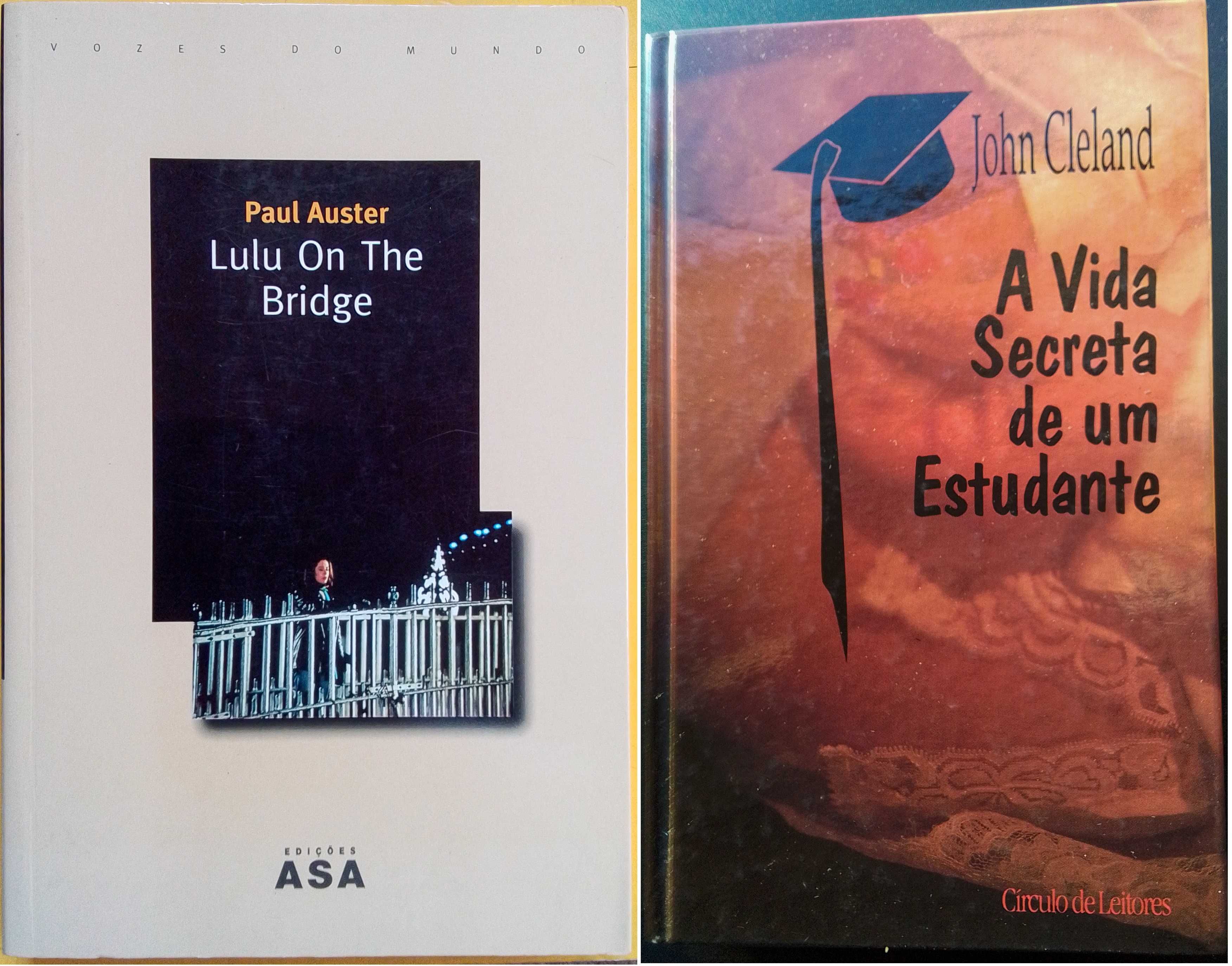 Pack de 15 livros de autores anglófonos
