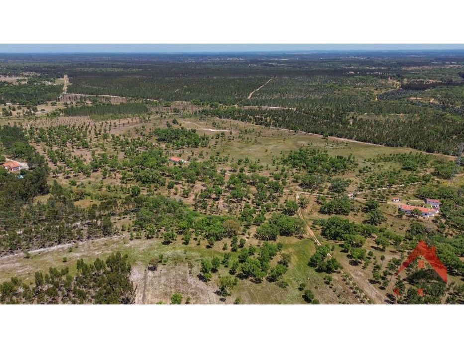 Herdade Do Barranco - Oportunidade Única Para Turismo E Investimento