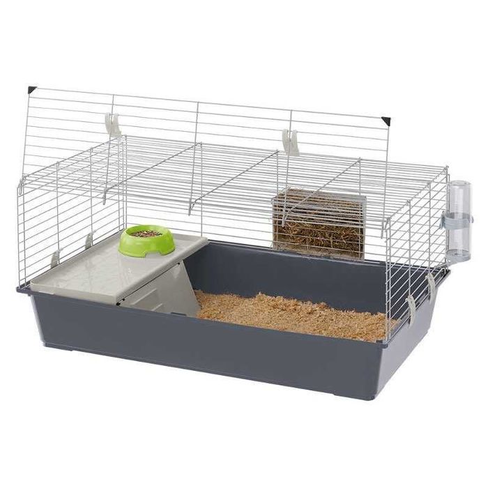 Coelhos anões mini +Gaiola Nova +alimentação adequada