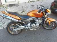 Honda Hornet 600