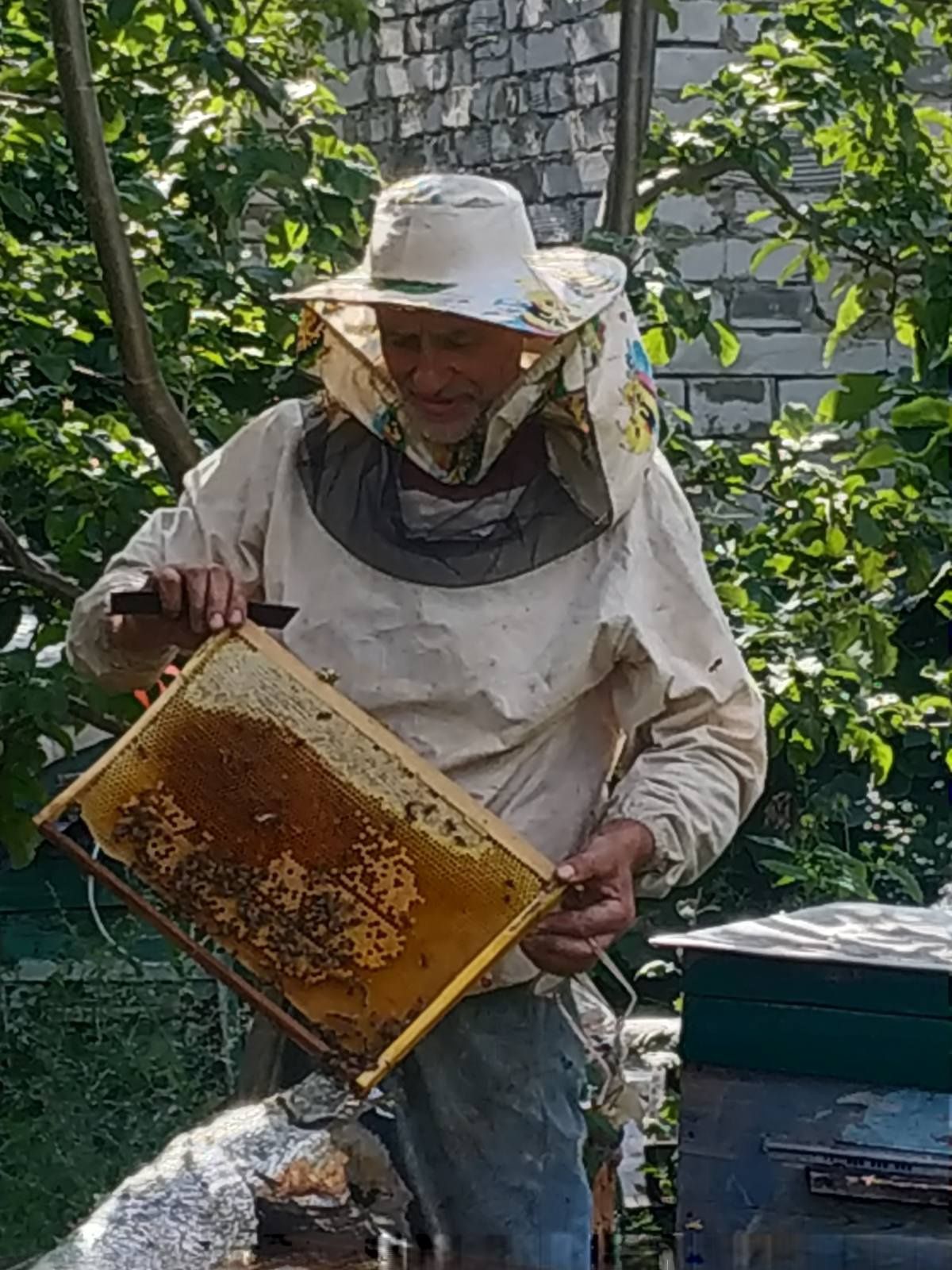 Продам Пчелопакет, Пчелосемья