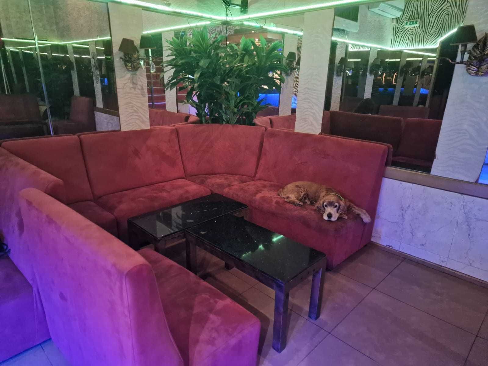 20 Sofas e 8 mesas