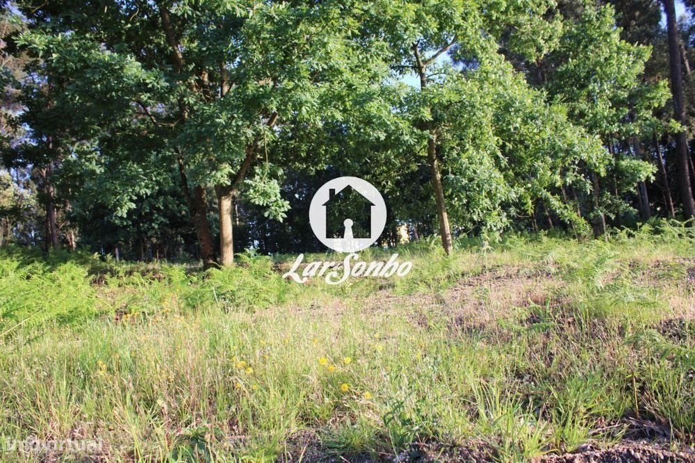 Terreno para construção em Barcelos