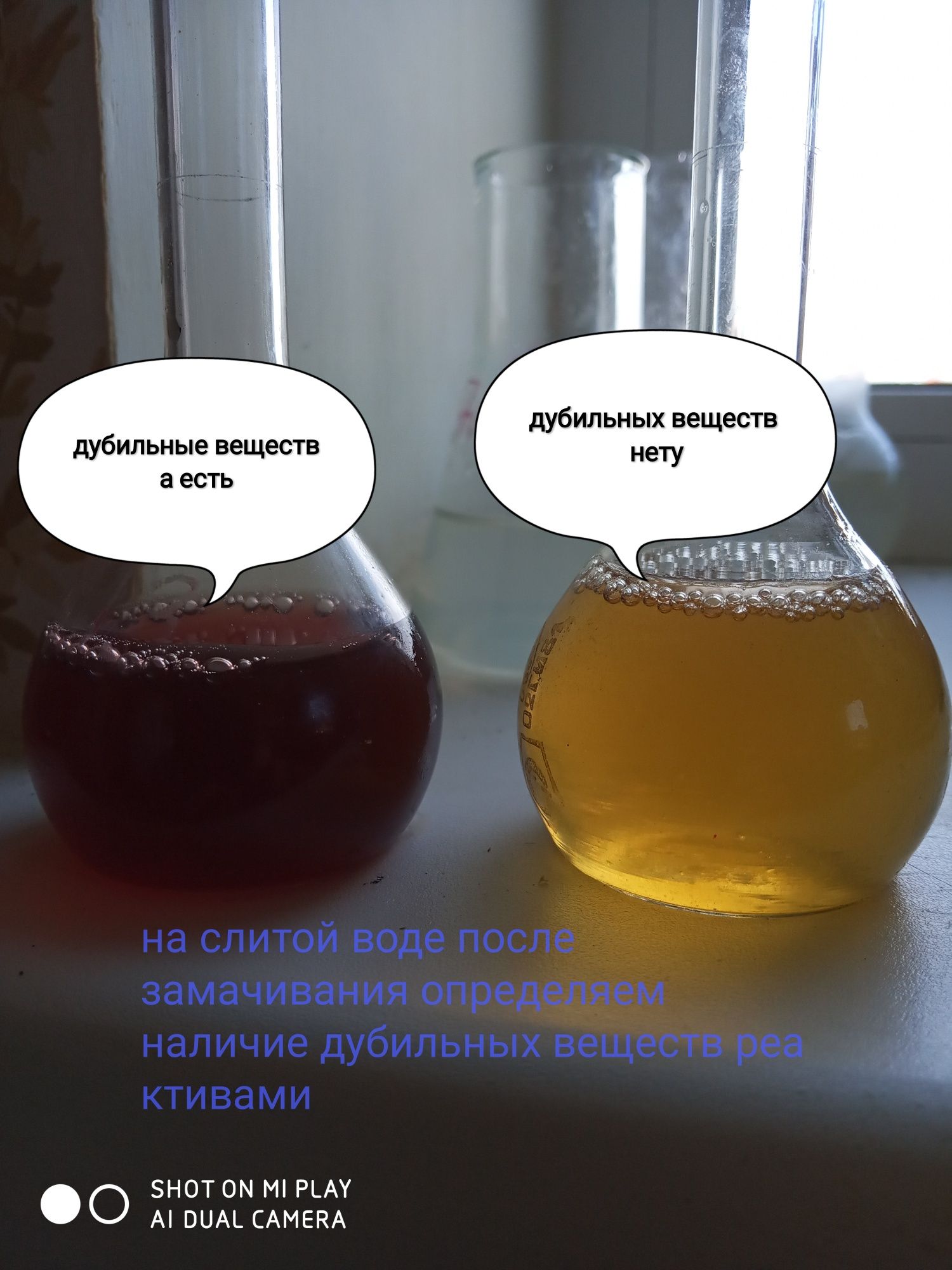 дубова щепа підготовлена для приготування конь'яків, віски, борбонів