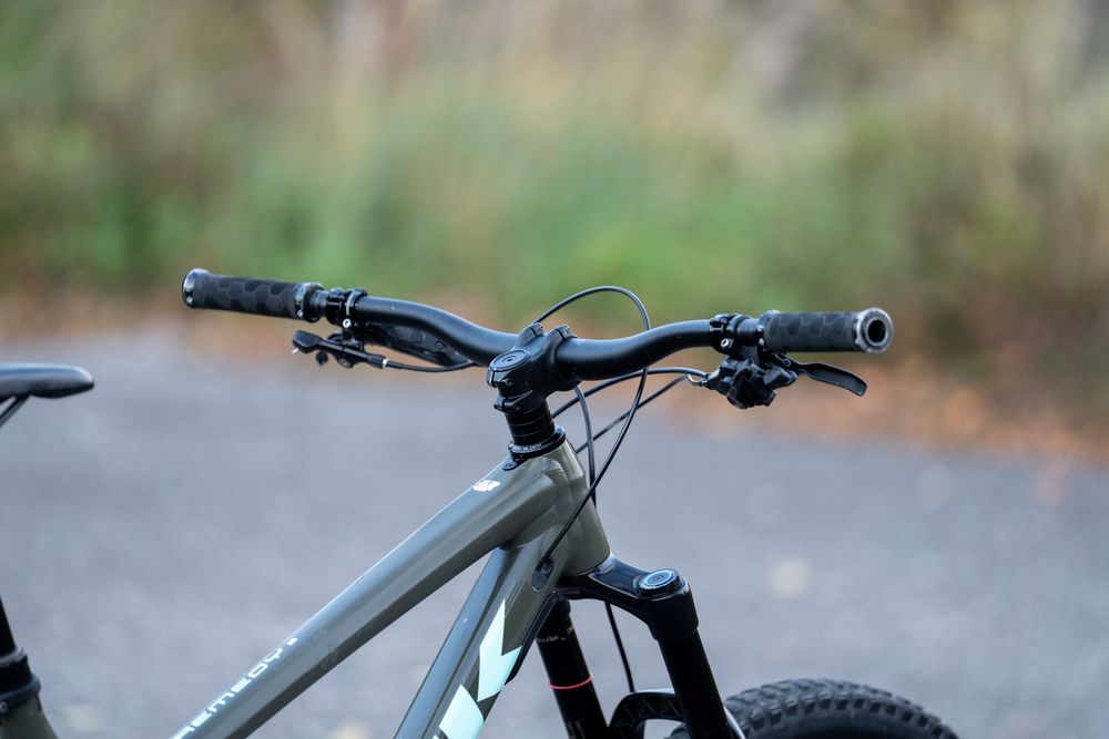 Trek remedy 8 L xt