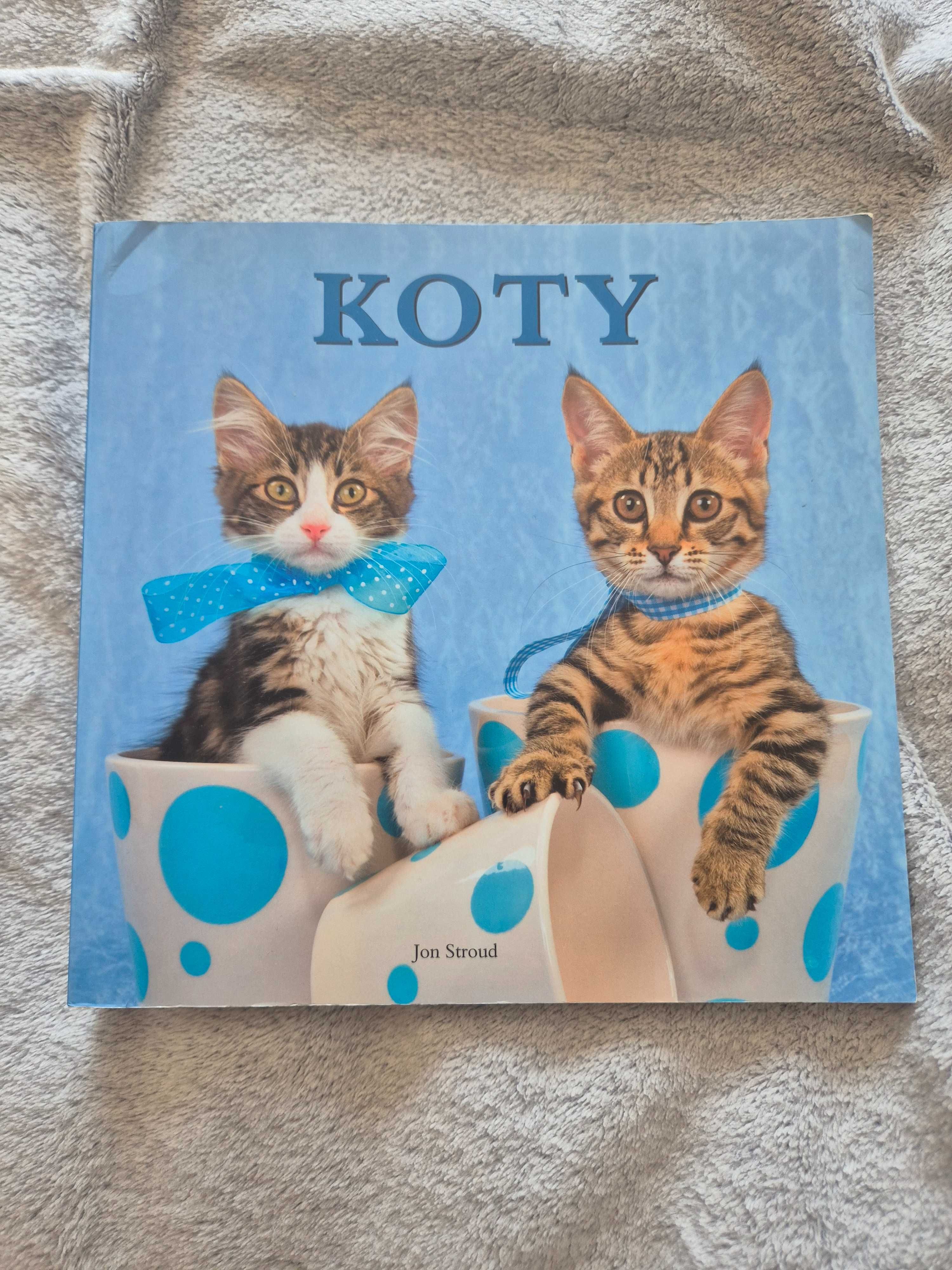 Książka o kotach