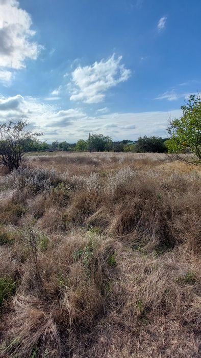 Продам землю участок,с.Сычавка