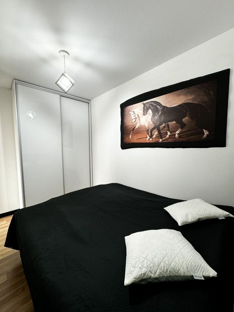 Apartament Niko w Gnieźnie na doby