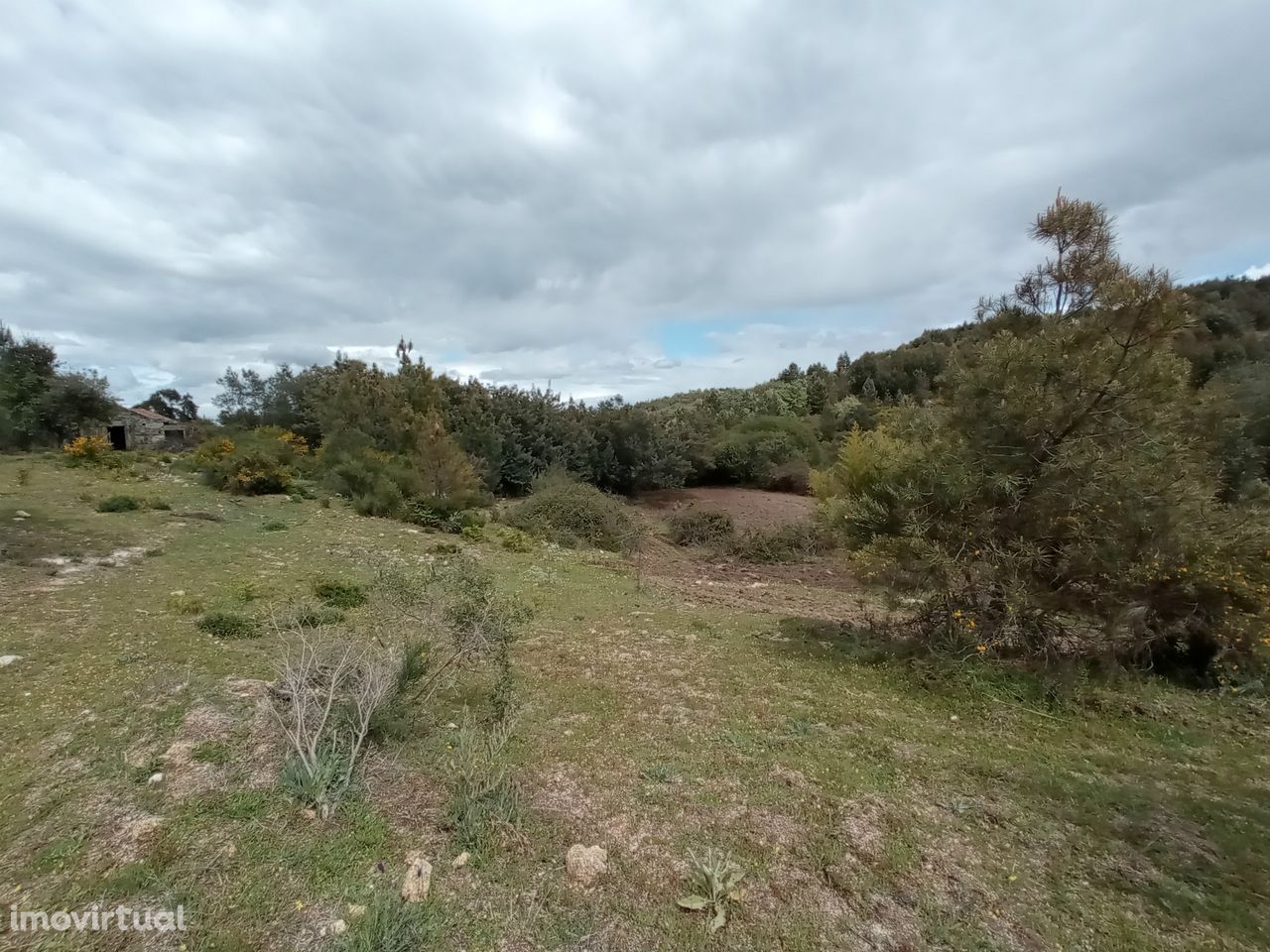 Propriedade em Aldeia do Bispo