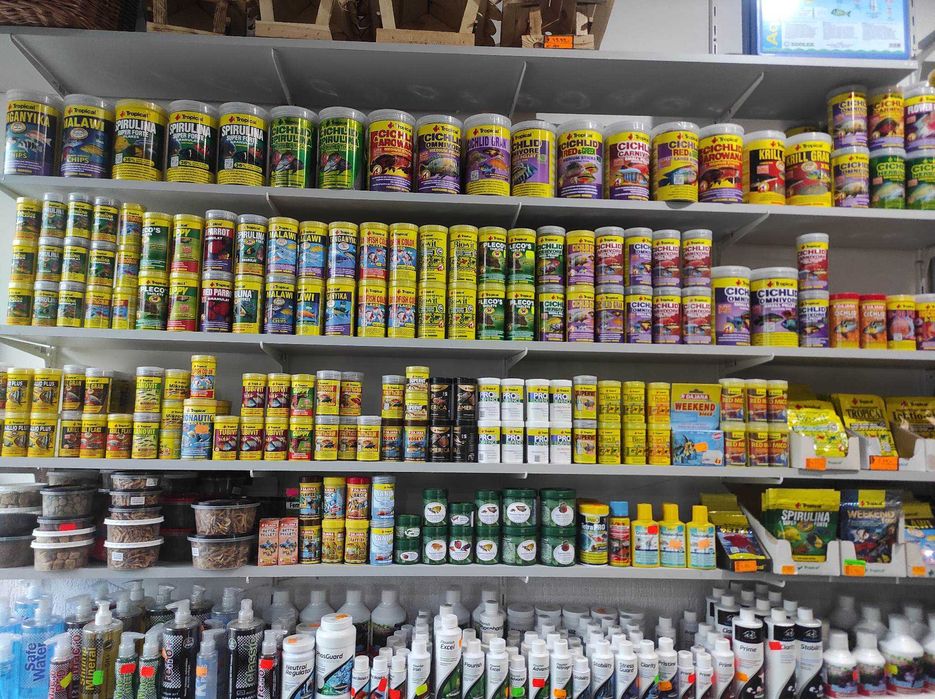 Ślimak Helmet - Tina Zoo Gliwice Jasna