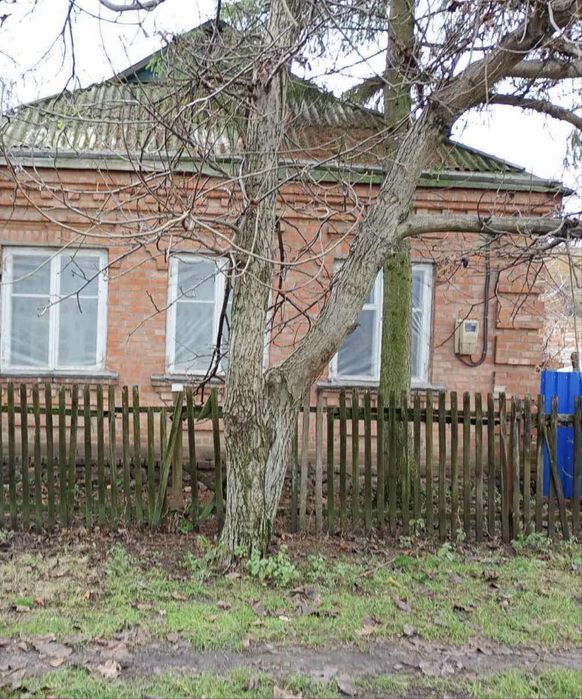 Продаж будинку в м. Новомиргород