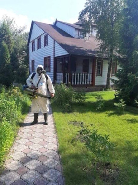 Обробка від комах щурів плісняви Гарантія Безпечно та доступно