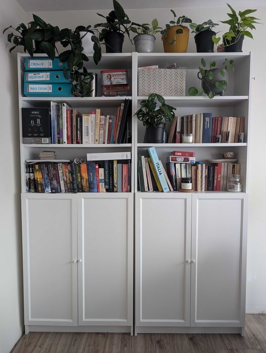 Regał Billy z drzwiami