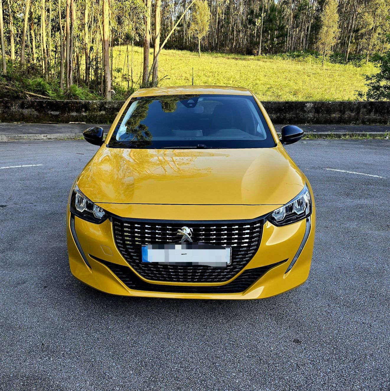 Peugeot 208 1.2 puretch 101cv