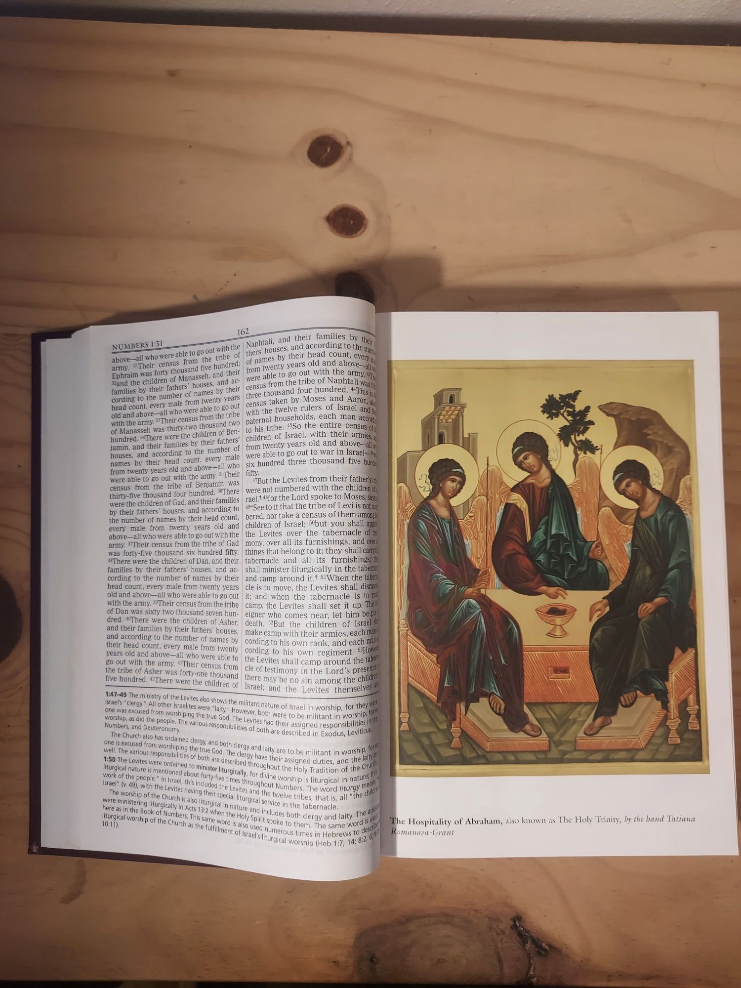 The Orthodox Study Bible (Inglês)