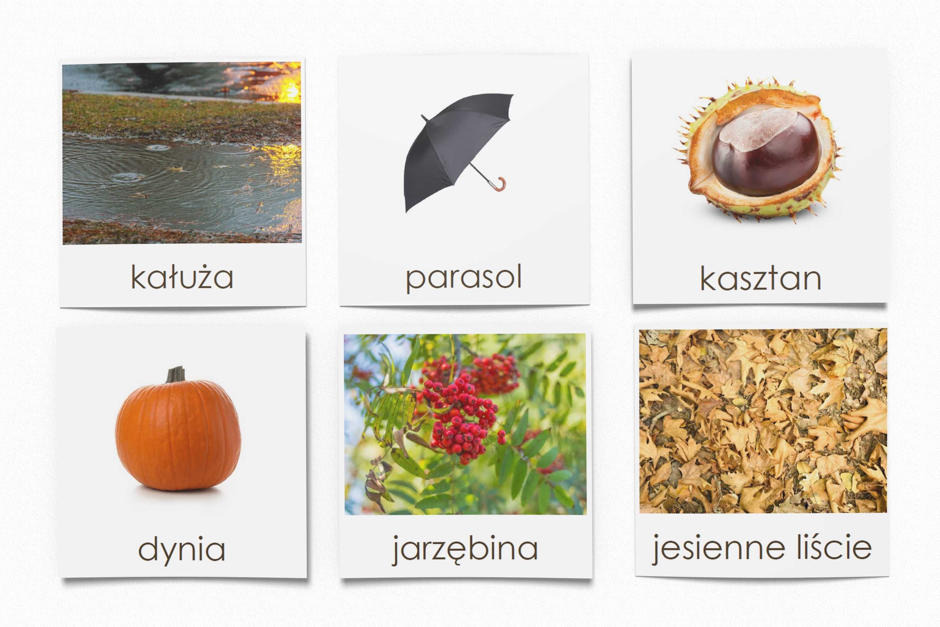 Karty trójdzielne Montessori - JESIEŃ (16 kart) laminowane