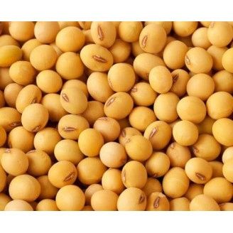 Продам сою 8-12 вологість