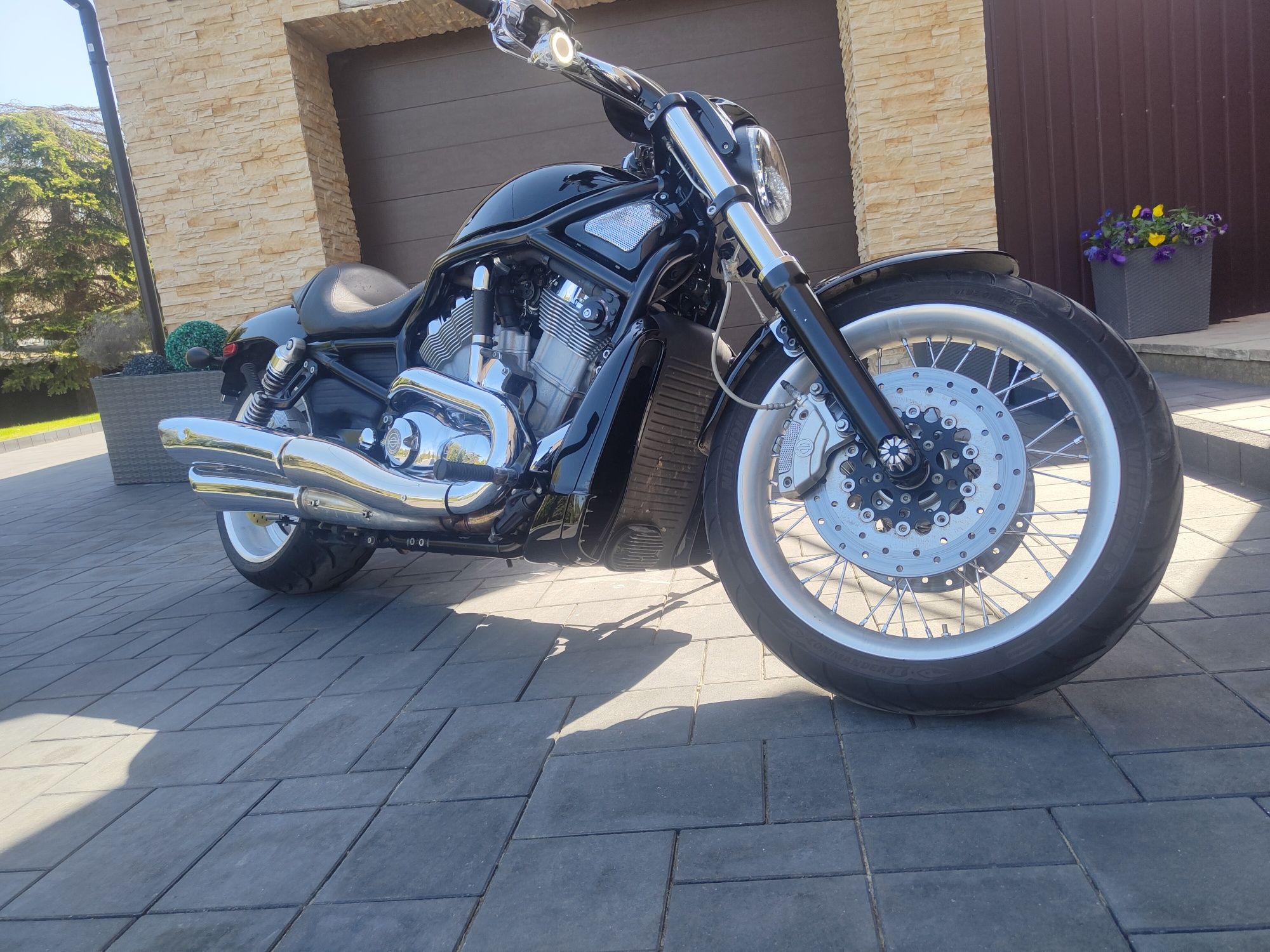 Harley Davidson V- rod 2008 rok